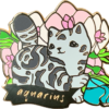 Transparent Image of Catstrology Aquarius
