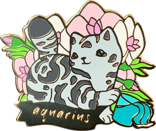 Transparent Image of Catstrology Aquarius
