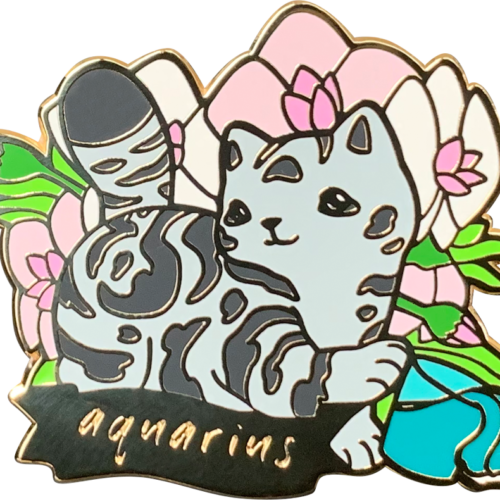 Cat Astrology Aquarius Enamel Pin